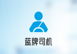 亿点点蓝牌司机