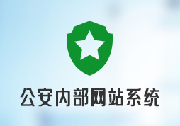 某公安内部网站系统